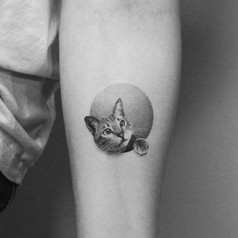 Cat tattoo on forearm for men