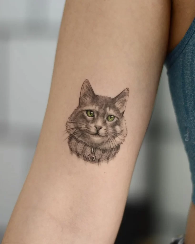 Cat tattoo on the shoulder for women