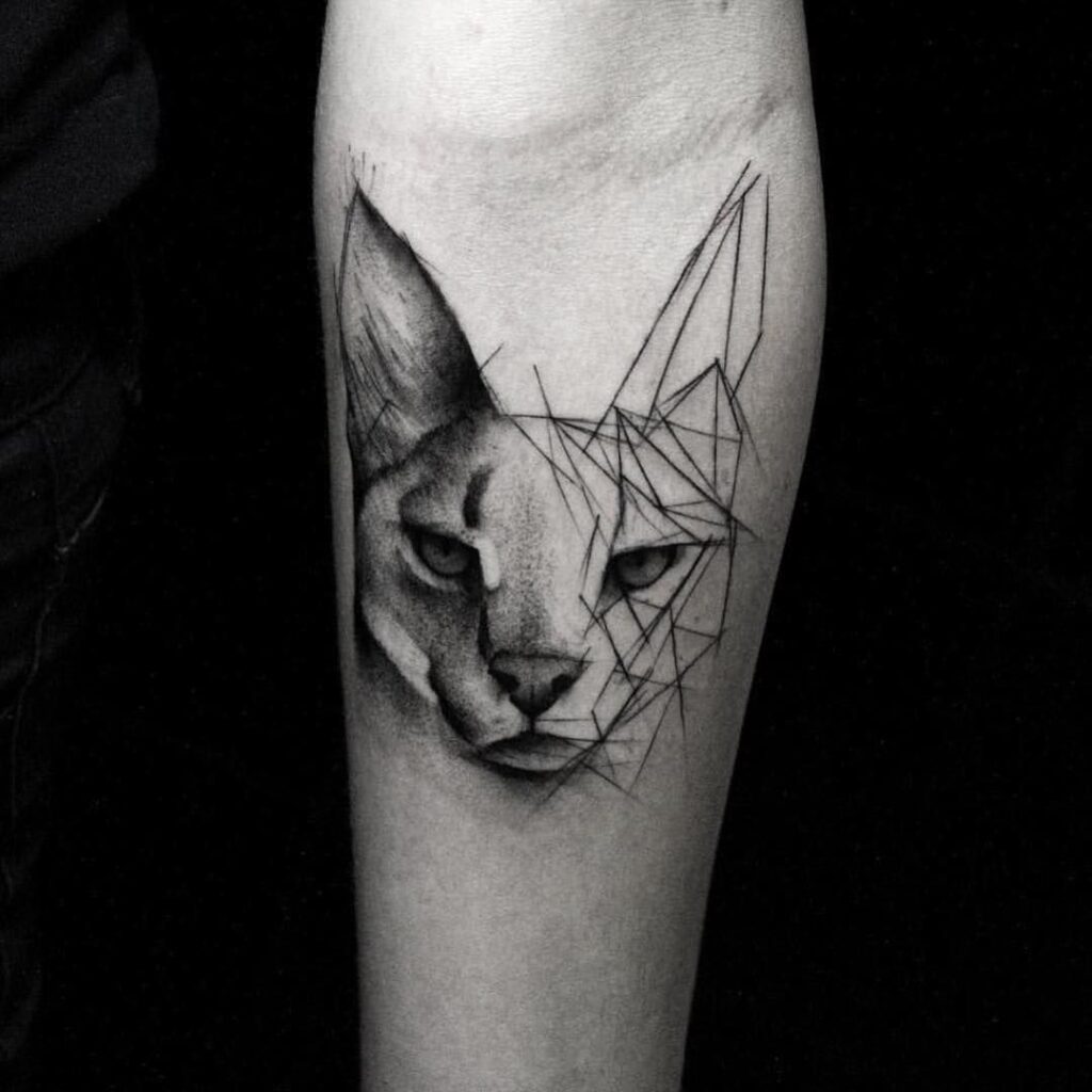 Cat tattoo on the forearm for men