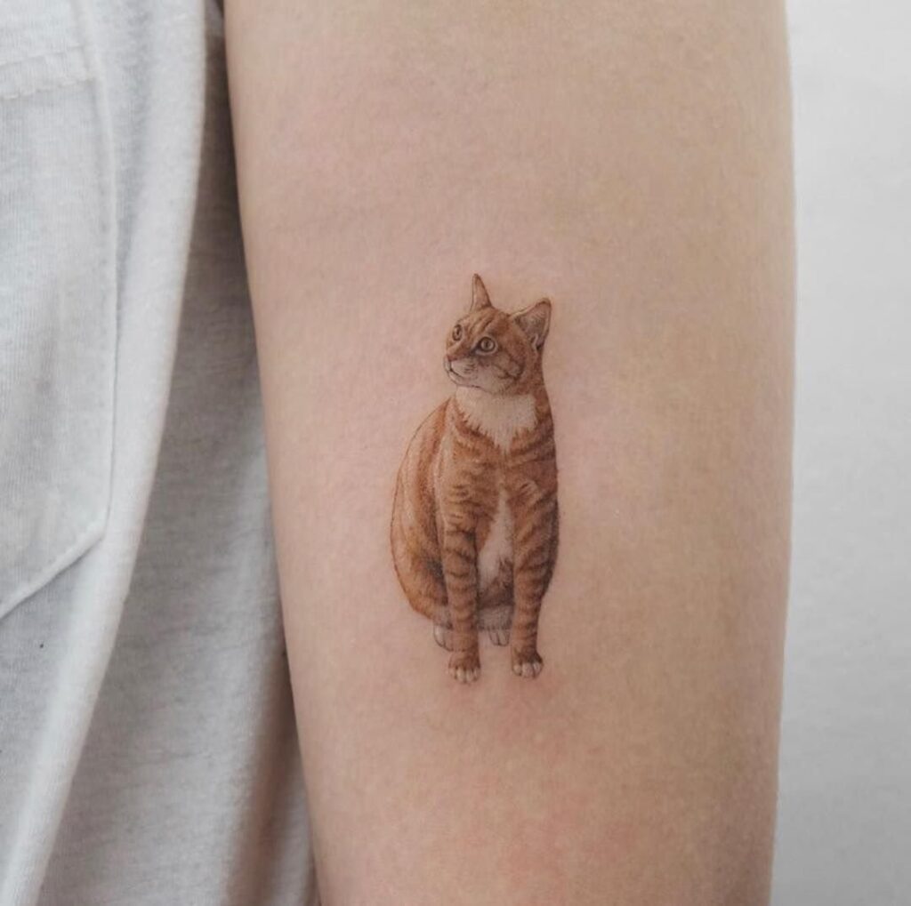 Cat tattoo on the shoulder for men