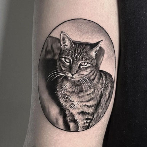 Cat tattoo on the shoulder for men