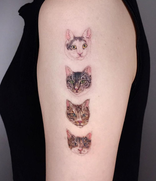 Cat tattoo on the shoulder for women