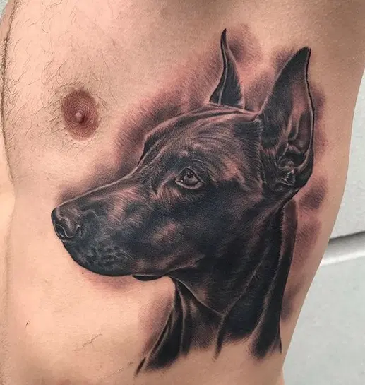 Doberman tattoo on the side for men