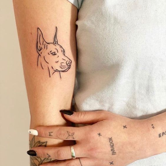 Doberman tattoo on the shoulder for women