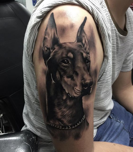 Doberman tattoo on the shoulder for men