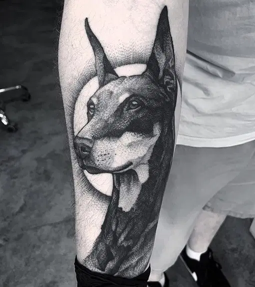 Doberman tattoo on the forearm for men