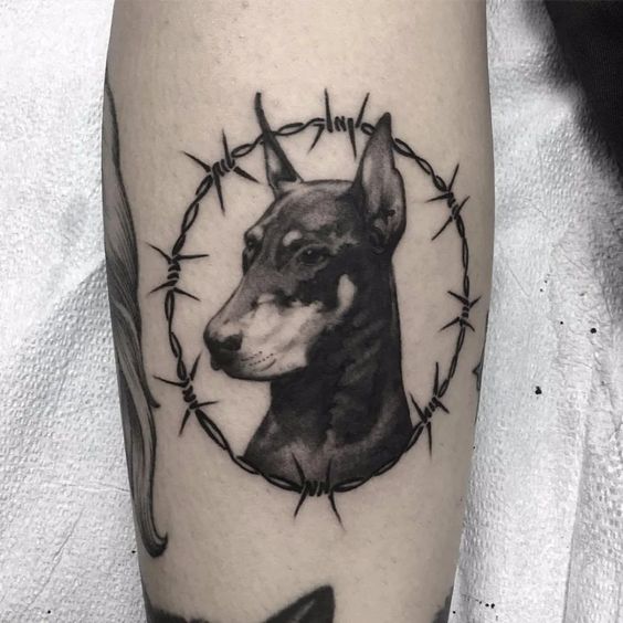 Doberman tattoo on the arm for men