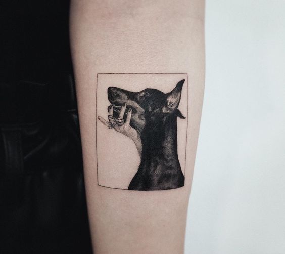 Doberman tattoo on the forearm for women