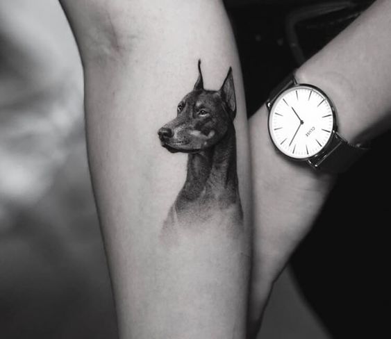 Doberman tattoo on the forearm for men