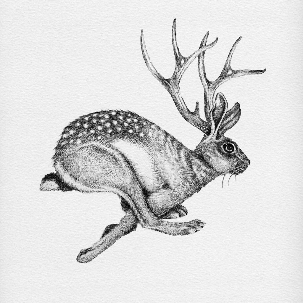 Sketch of a hare (rabbit) tattoo