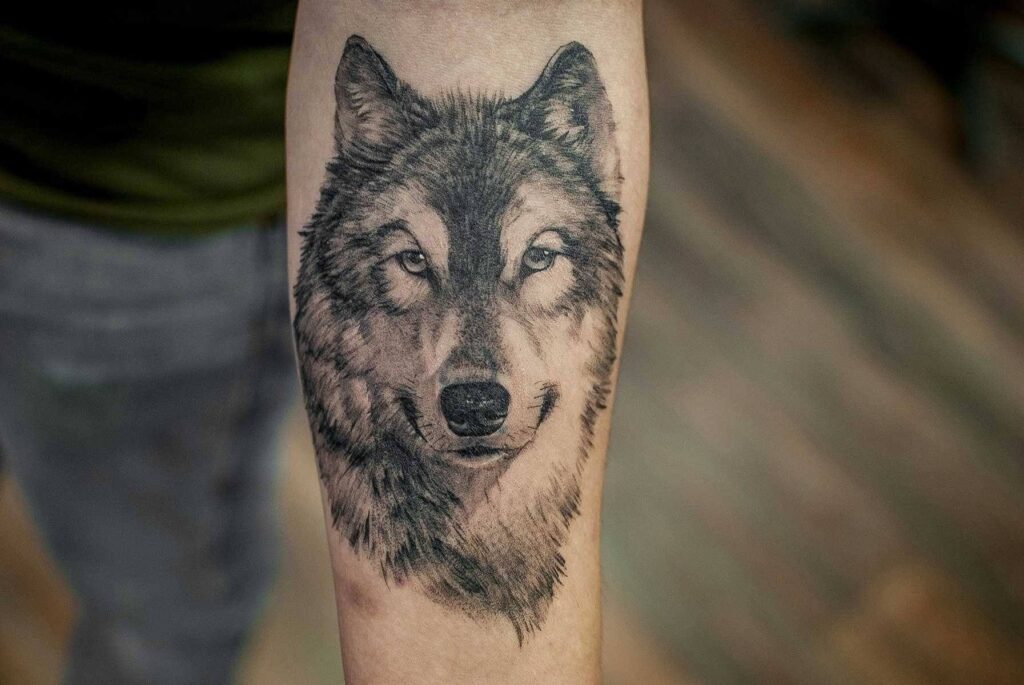 Tattoo of a wolf on the forearm for men