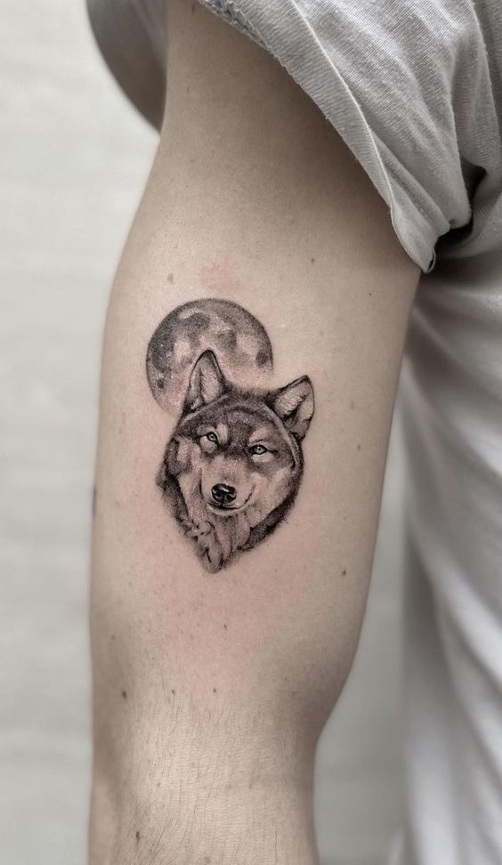 Tattoo of a wolf on the shoulder for men