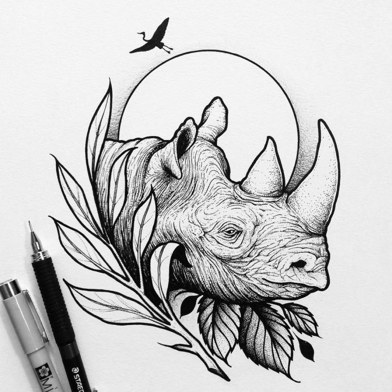 Sketch of a rhinoceros tattoo