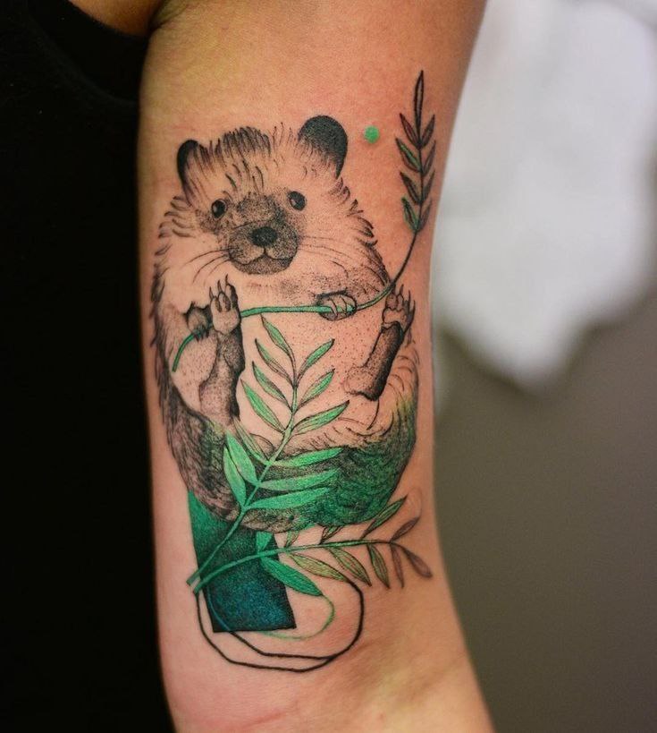 Tattoo of a hedgehog on the shoulder for women