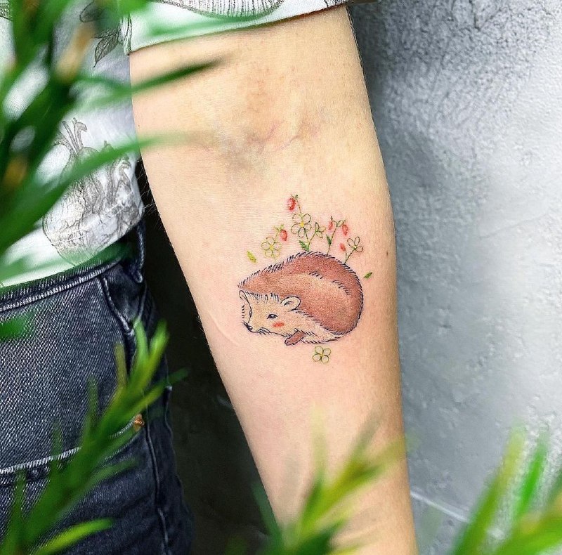 Tattoo of a hedgehog on the forearm for women