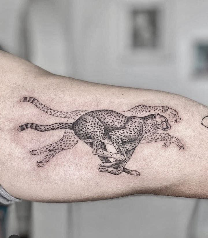 Cheetah tattoo on the biceps for men