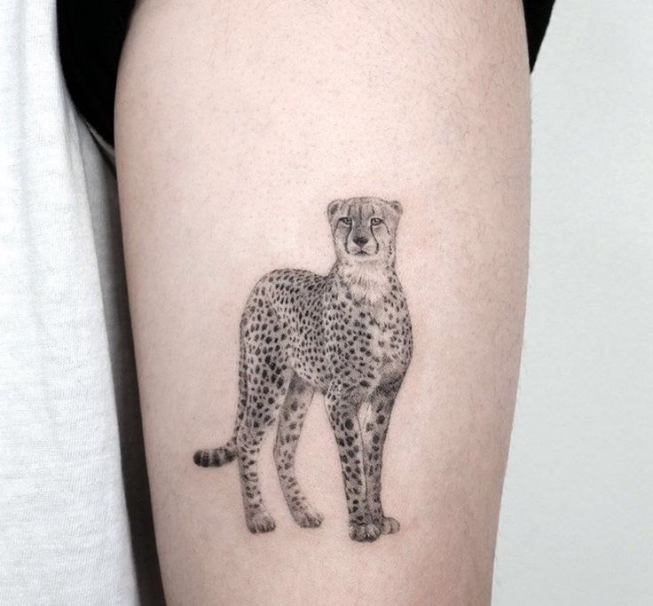 Cheetah tattoo on the shoulder for men