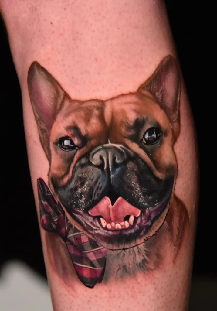 Bulldog tattoo on the arm for men