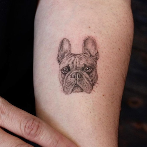 Bulldog tattoo on the arm for men