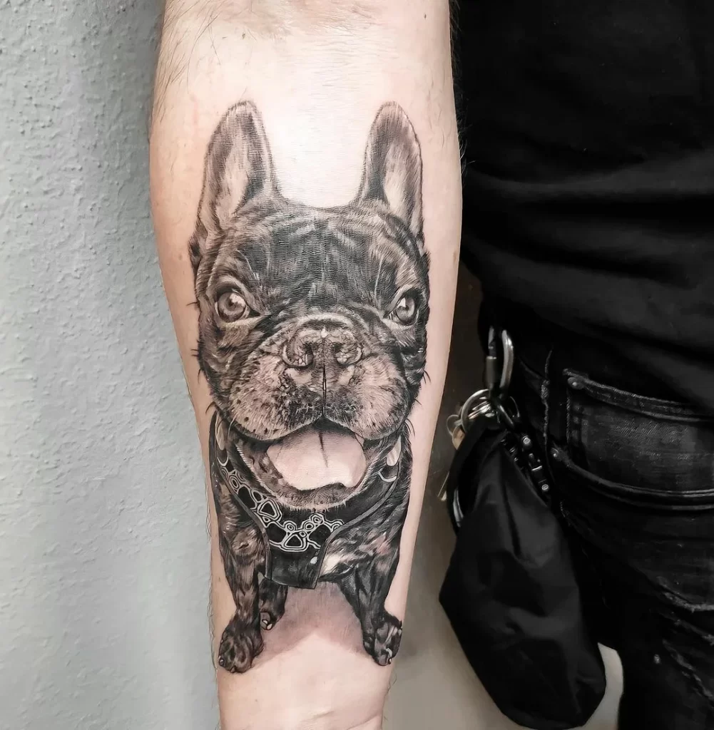 Bulldog tattoo on forearm for men