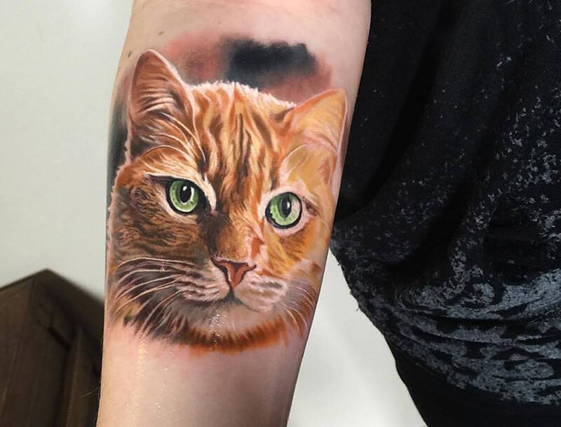 Cat tattoo on the forearm for women