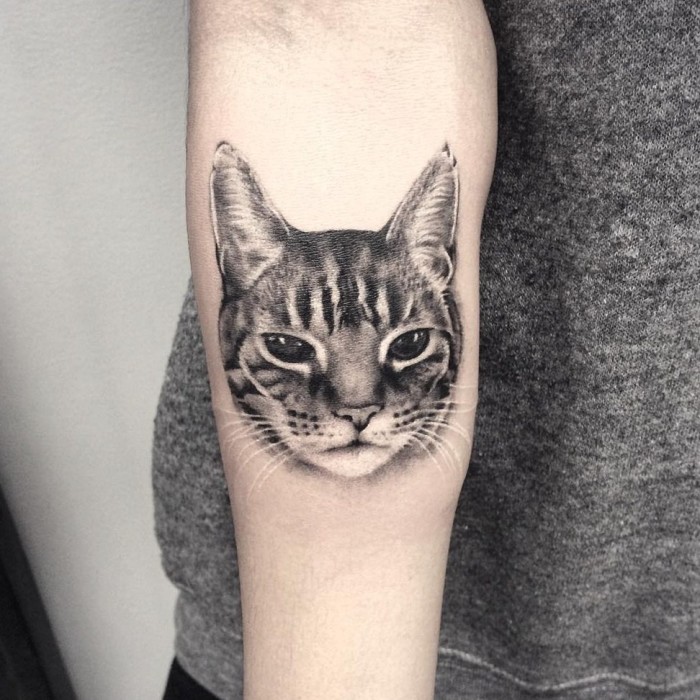 Cat tattoo on the forearm for women