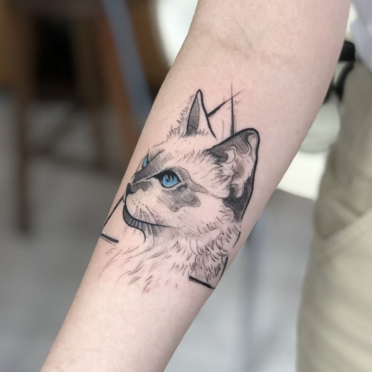 Cat tattoo on the forearm for women