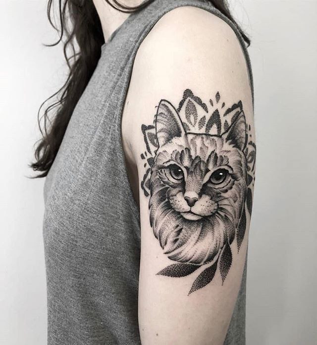 Cat tattoo on the shoulder for women