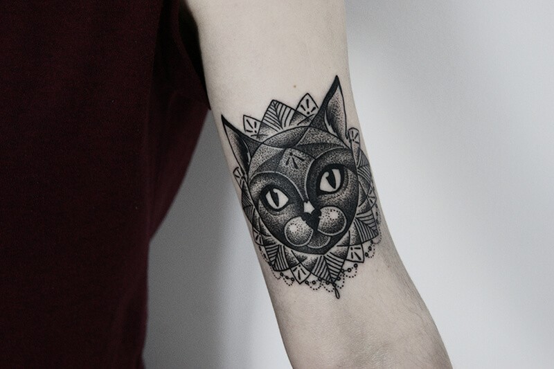 Cat tattoo on the shoulder for women