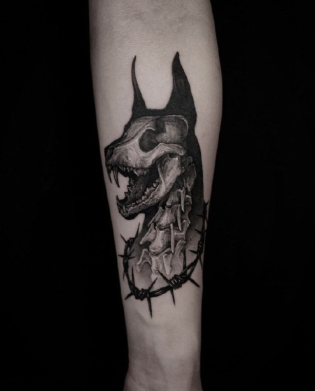 Doberman tattoo on forearm for women