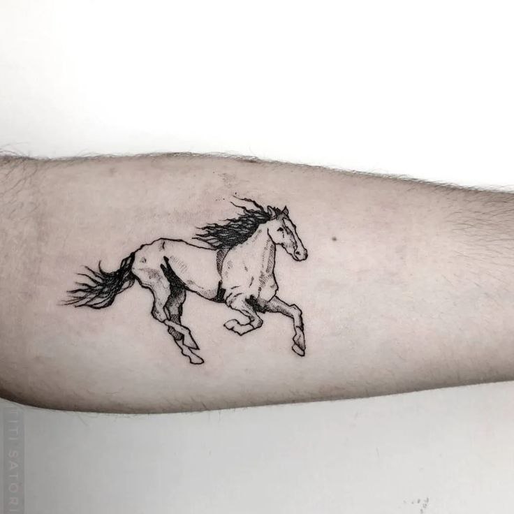 Horse tattoo on the forearm for men