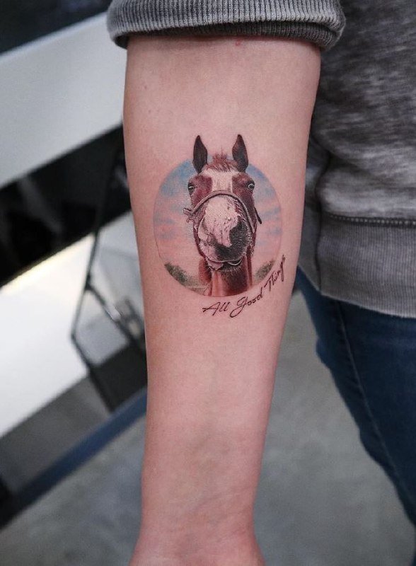 Horse tattoo on the forearm for women