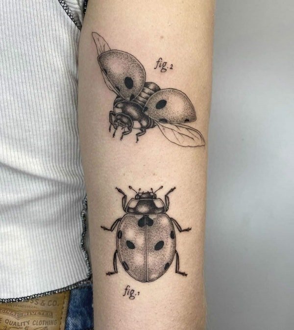 Ladybug tattoo on the arm for women