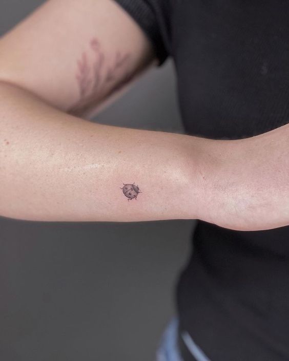 Ladybug tattoo on forearm for women