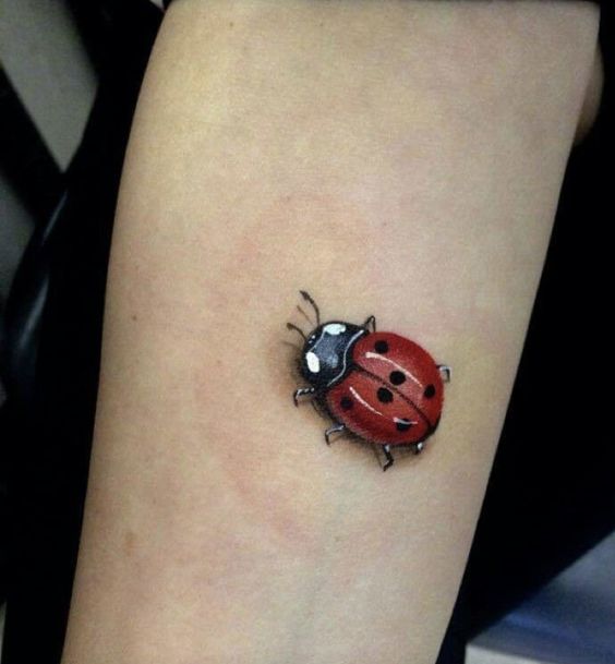 Ladybug tattoo on the arm for women