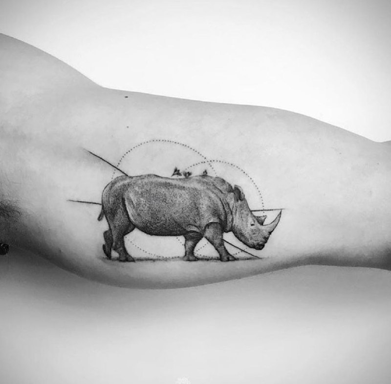 Rhinoceros tattoo on the biceps for men