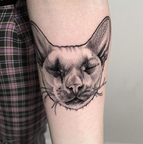 Cat tattoo on the forearm for men