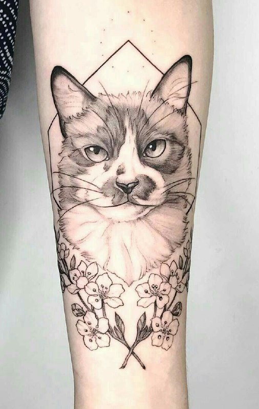 Cat tattoo on the forearm for women