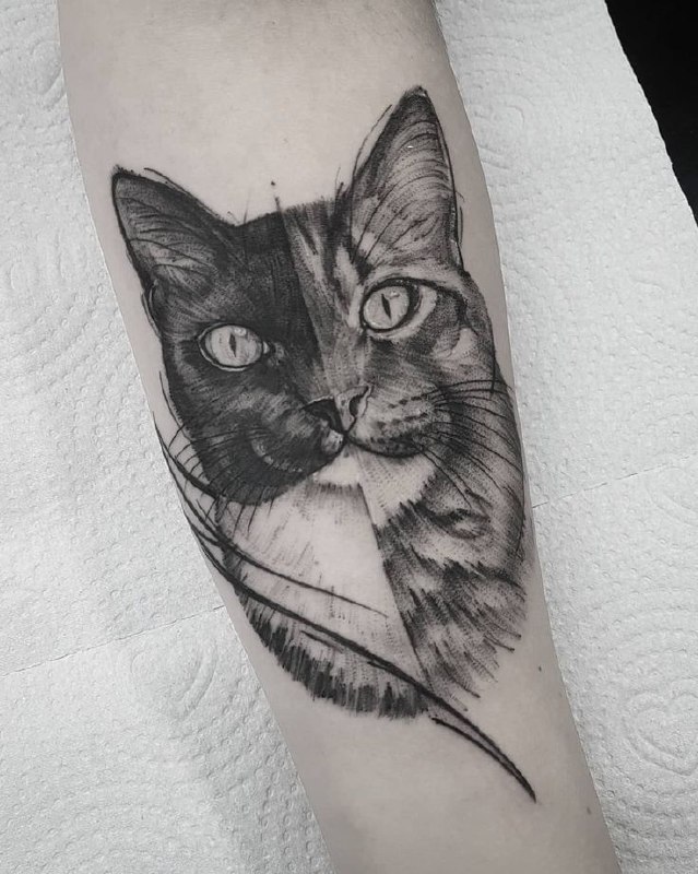 Cat tattoo on the forearm for women