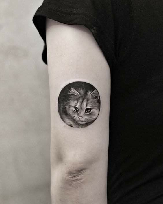 Cat tattoo on the shoulder for women