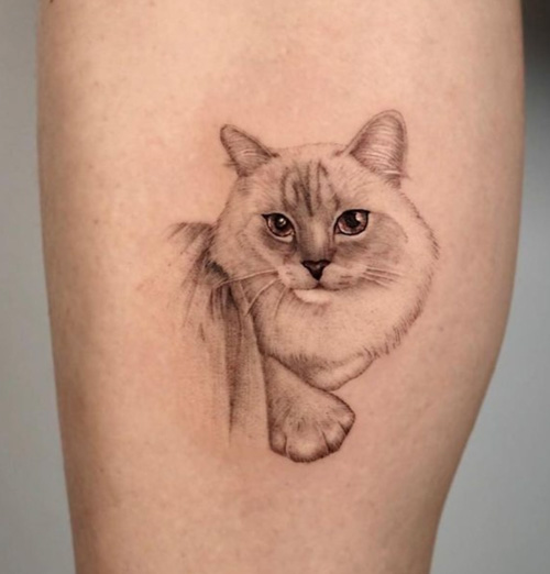 Cat tattoo on the forearm for women