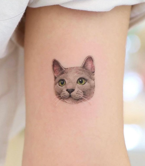 Cat tattoo on the shoulder for women