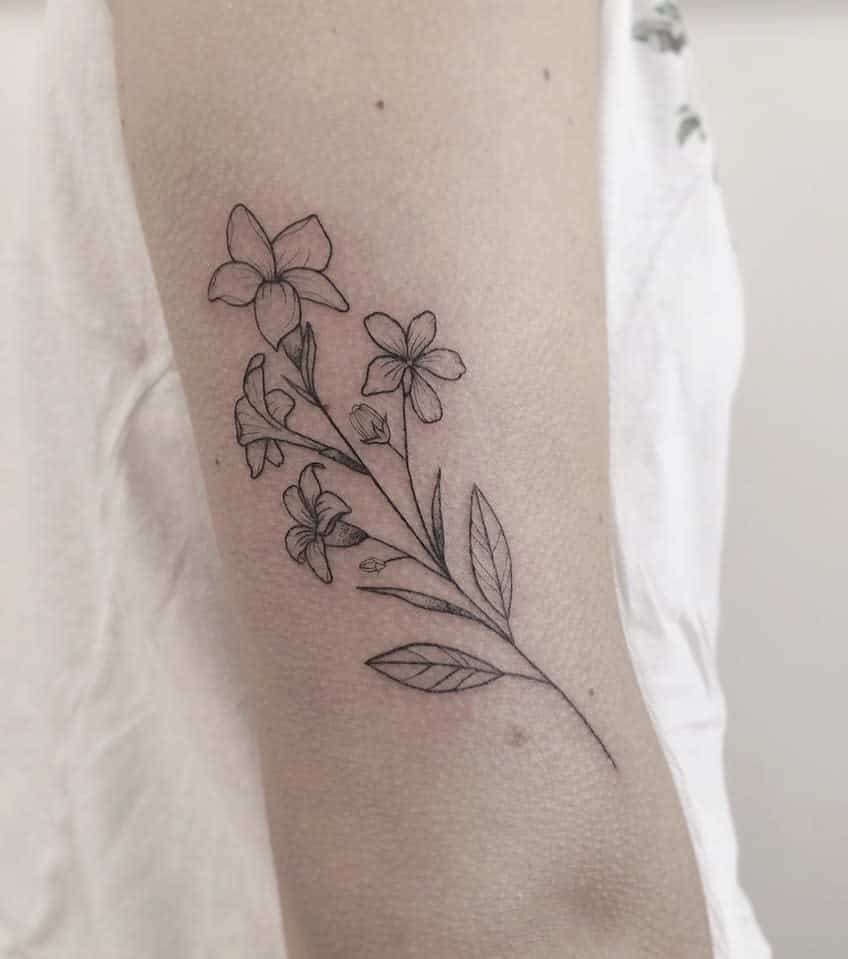 Jasmine tattoo on the shoulder for women