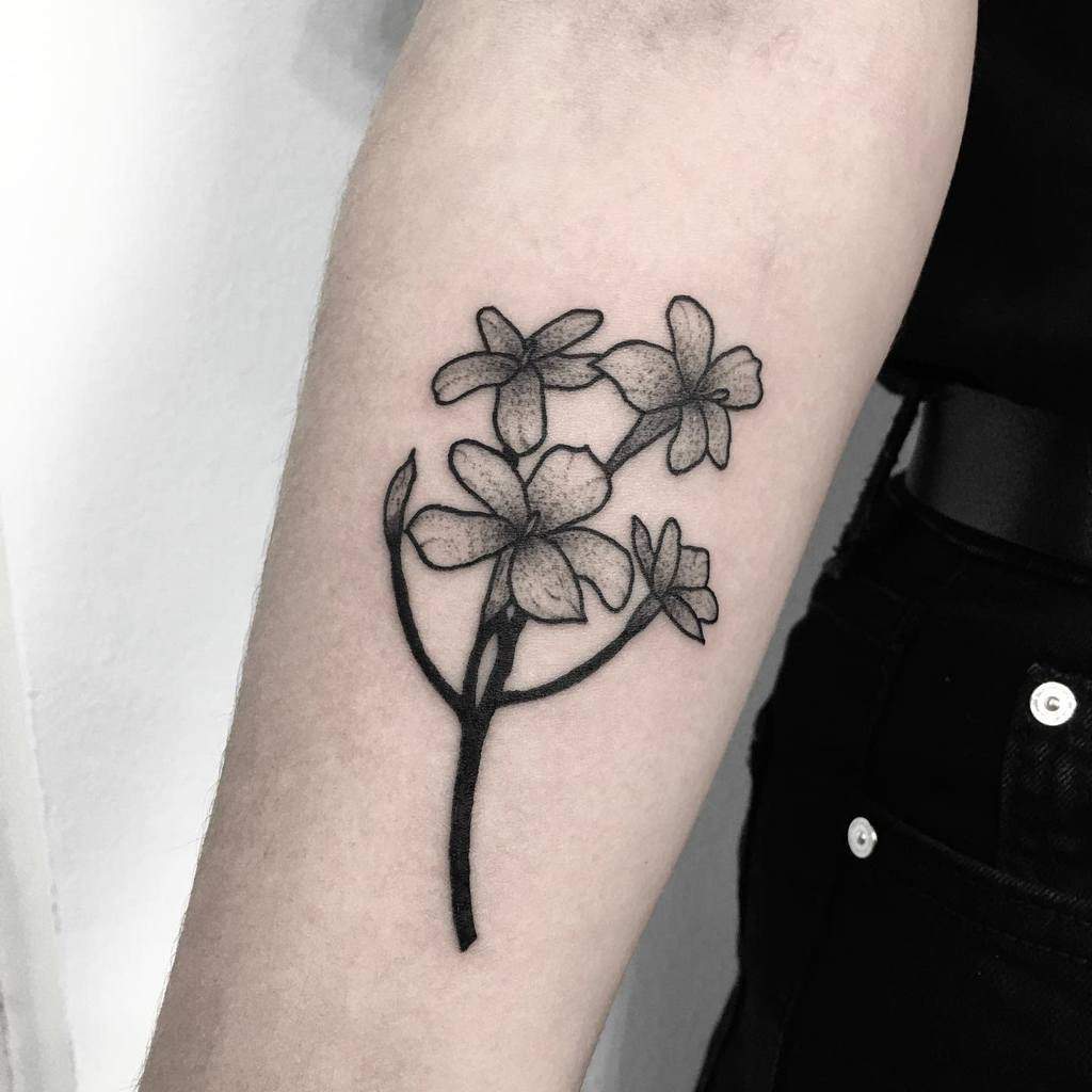 Jasmine tattoo on the forearm for women