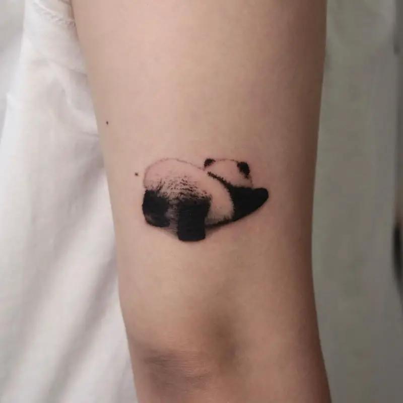 Panda tattoo on the shoulder for women