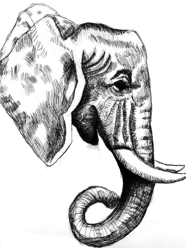 Elephant tattoo sketch