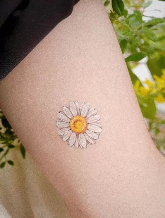 Colorful daisy tattoo on the shoulder for women