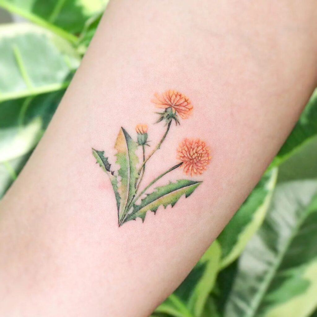 Colorful dandelion tattoo on the arm for women