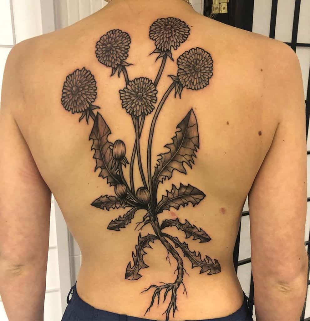 Large dandelion tattoo with rhizome on the back for men