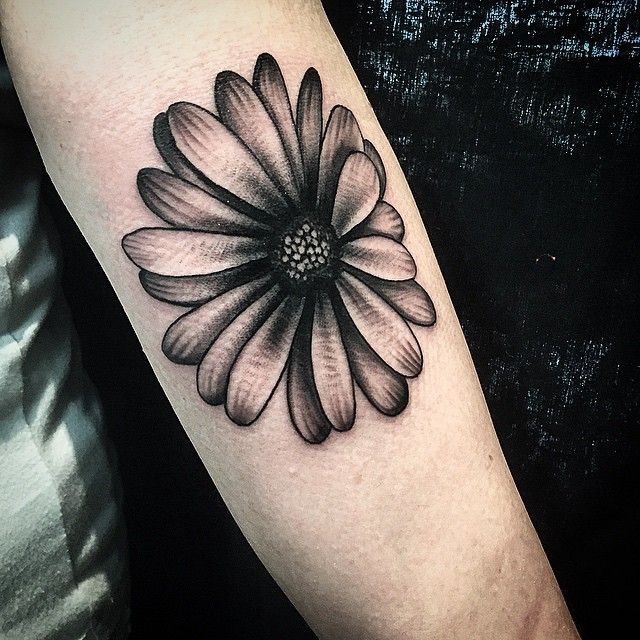 Daisy tattoo on forearm for women